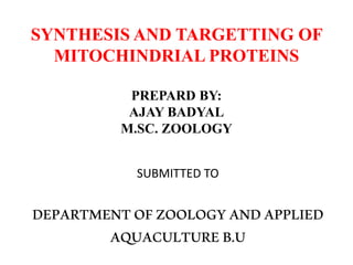 SYNTHESIS AND TARGETTING OF
MITOCHINDRIAL PROTEINS
PREPARD BY:
AJAY BADYAL
M.SC. ZOOLOGY
SUBMITTED TO
DEPARTMENTOFZOOLOGYANDAPPLIED
AQUACULTUREB.U
 