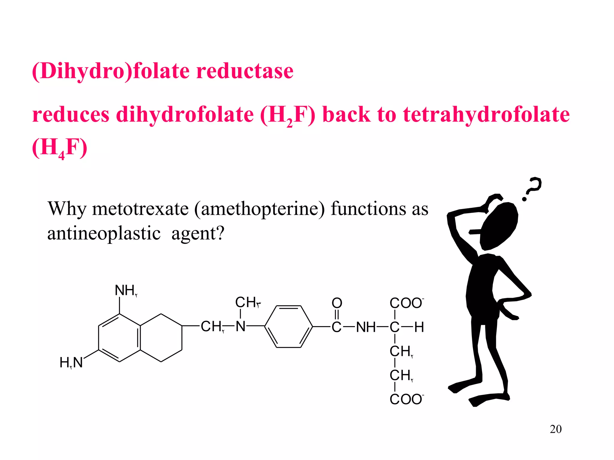 (Dihydro)folate reductase reduces dihydrofolate (H 2 F) back to tetrahydrofolate (H 4 F) Why metotrexate (amethopterine) functions as antineoplastic  agent? 