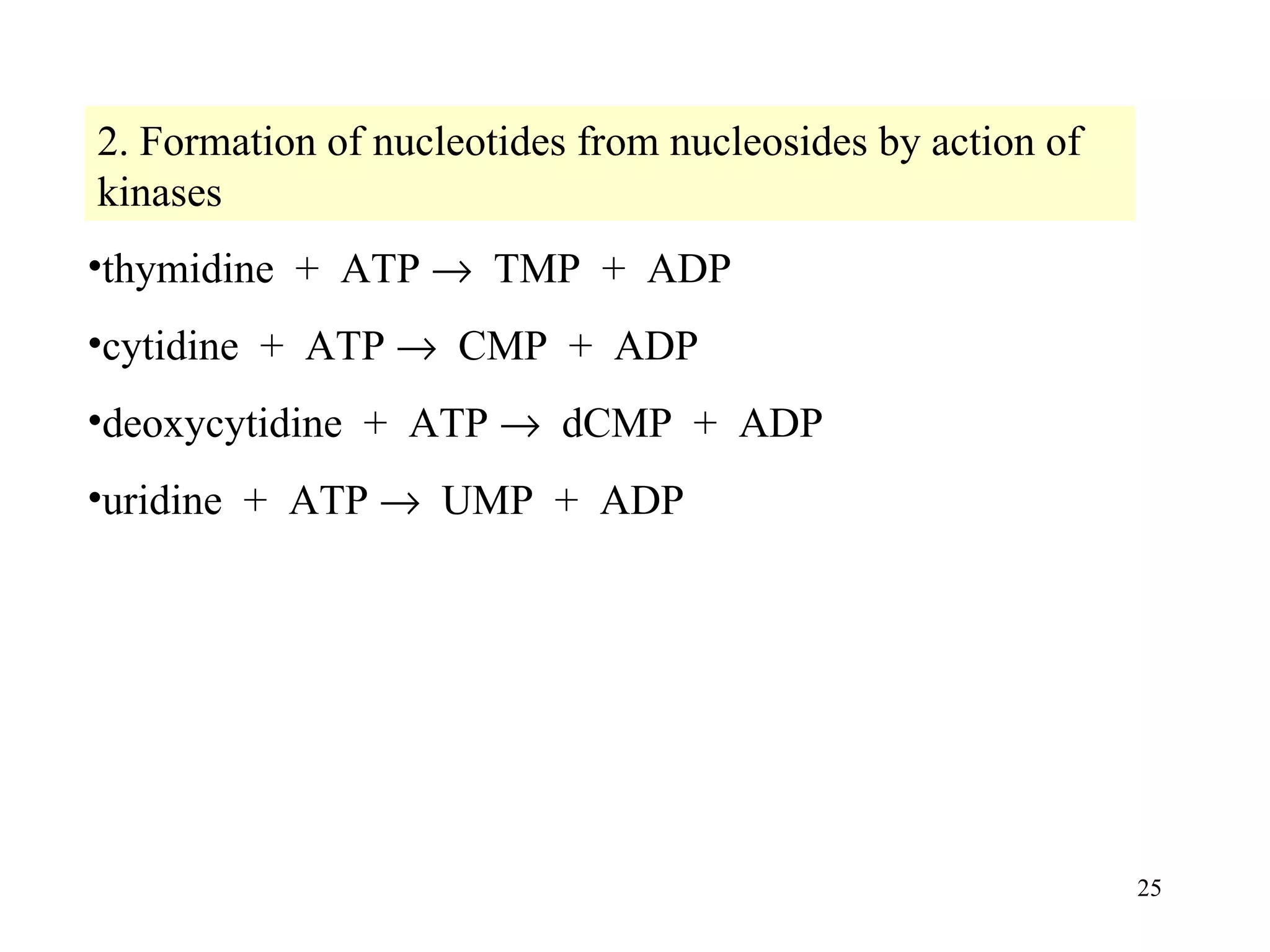thymidine  +  ATP     TMP  +  ADP cytidine  +  ATP     CMP  +  ADP deoxycytidine  +  ATP     dCMP  +  ADP uridine  +  ATP     UMP  +  ADP 2. Formation of nucleotides from nucleosides by action of kinases 
