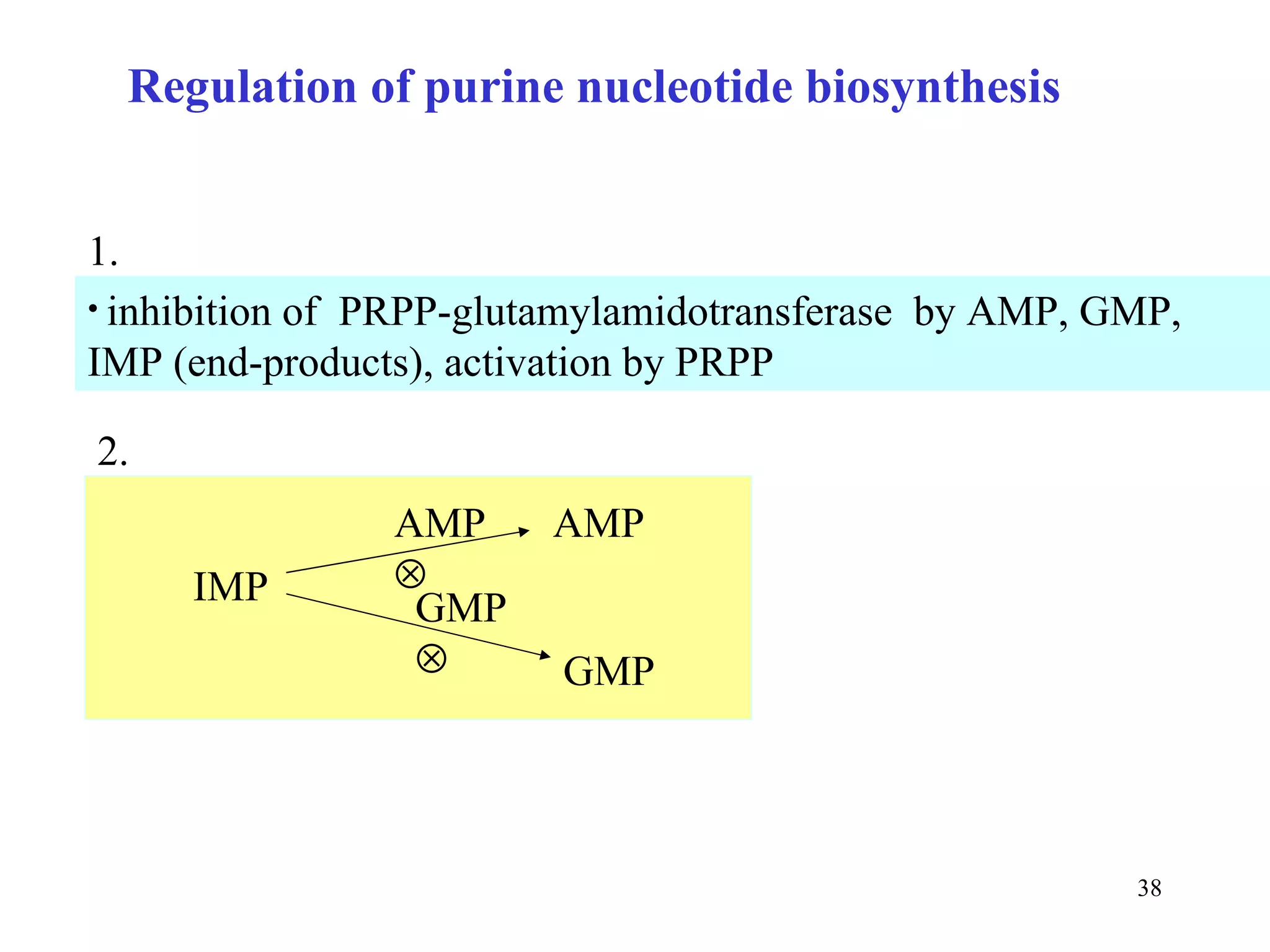 Regulation of purine nucleotide biosynthesis inhibition of  PRPP-glutamylamidotransferase  by AMP, GMP, IMP (end-products), activation by PRPP 1. 2. IMP AMP GMP GMP  AMP  