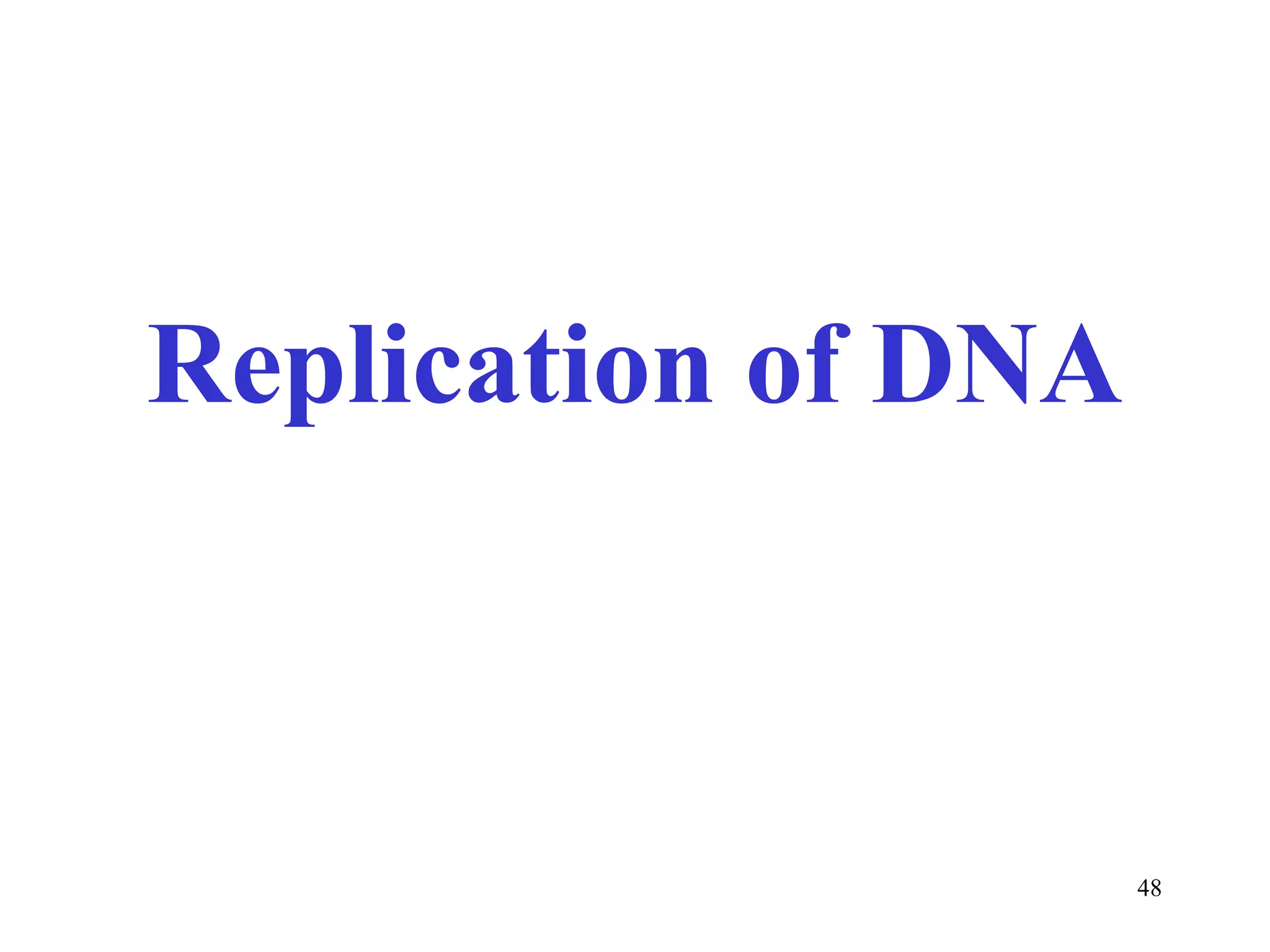 Replication of DNA 