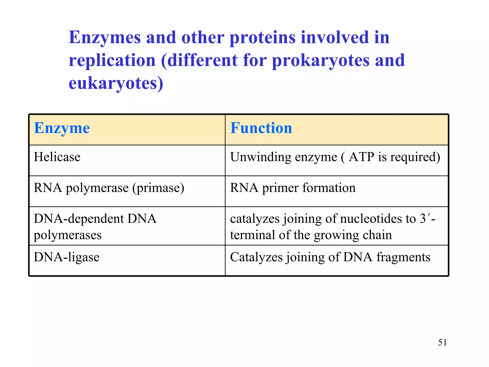 Enzymes and other proteins involved in replication (different for prokaryotes and eukaryotes) Catalyzes joining of DNA fragments DNA-ligase catalyzes joining of nucleotides to 3´-terminal of the growing chain DNA-dependent DNA polymerases RNA primer formation RNA polymerase (primase) Unwinding enzyme ( ATP is required) Helicase Function Enzyme 