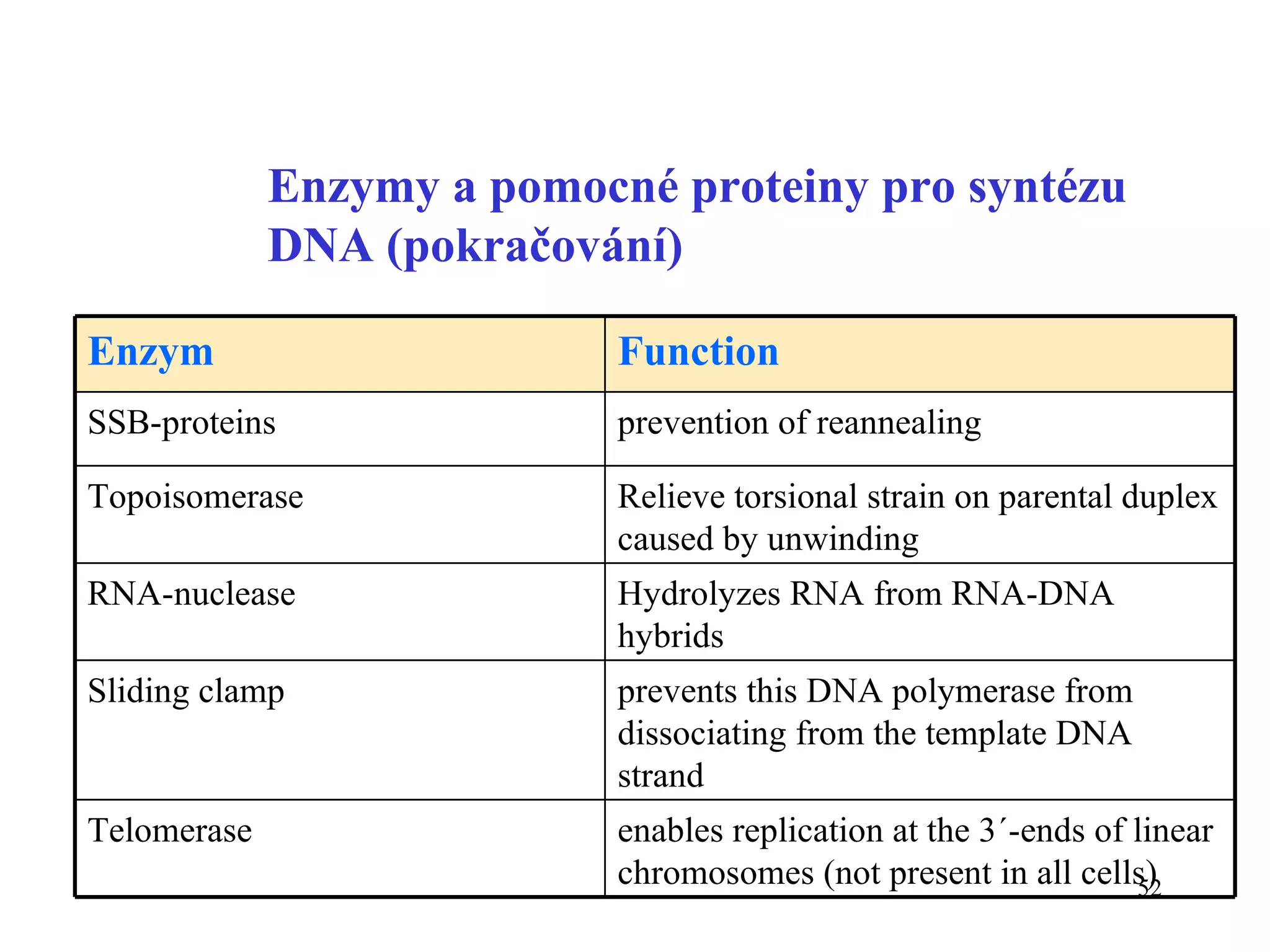 Enzymy a pomocné proteiny pro syntézu DNA (pokračování) prevents this DNA polymerase from dissociating from the template DNA strand  Sliding clamp  Function Enzym enable s  replication at the 3´-ends of linear chromosomes  (not present in all cells) Telomerase Hydrolyzes RNA from RNA-DNA hybrids RNA-nuclease Relieve torsional strain on parental duplex caused by unwinding Topoisomerase prevention of reannealing SSB-proteins 
