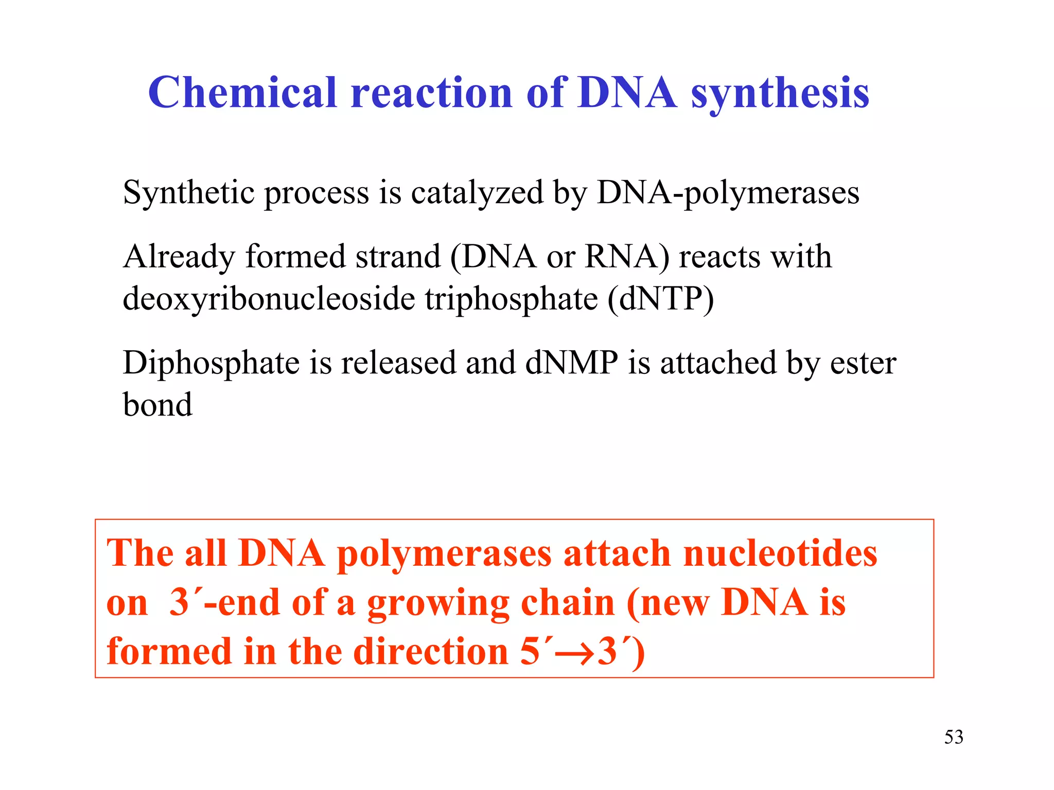 The all DNA polymerases attach nucleotides on  3´-end of a growing chain (new DNA is formed in the direction 5´  3´) Chemical reaction of DNA synthesis Synthetic process is catalyzed by DNA-polymerases Already formed strand (DNA or RNA) reacts with deoxyribonucleoside triphosphate (dNTP) Diphosphate is released and dNMP is attached by ester bond 
