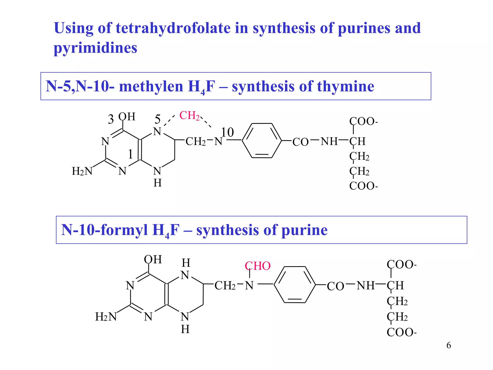 N-5,N-10- methylen H 4 F – synthesis of thymine N-10-formyl H 4 F – synthesis of purine 5 10 1 3 Using of tetrahydrofolate in synthesis of purines and pyrimidines N N O H N H 2 N C O N H C H C H 2 C H 2 C O O - C O O - C H 2 N N H C H 2 N N O H N H 2 N C O N H C H C H 2 C H 2 C O O - C O O - C H 2 N N H C H O H 