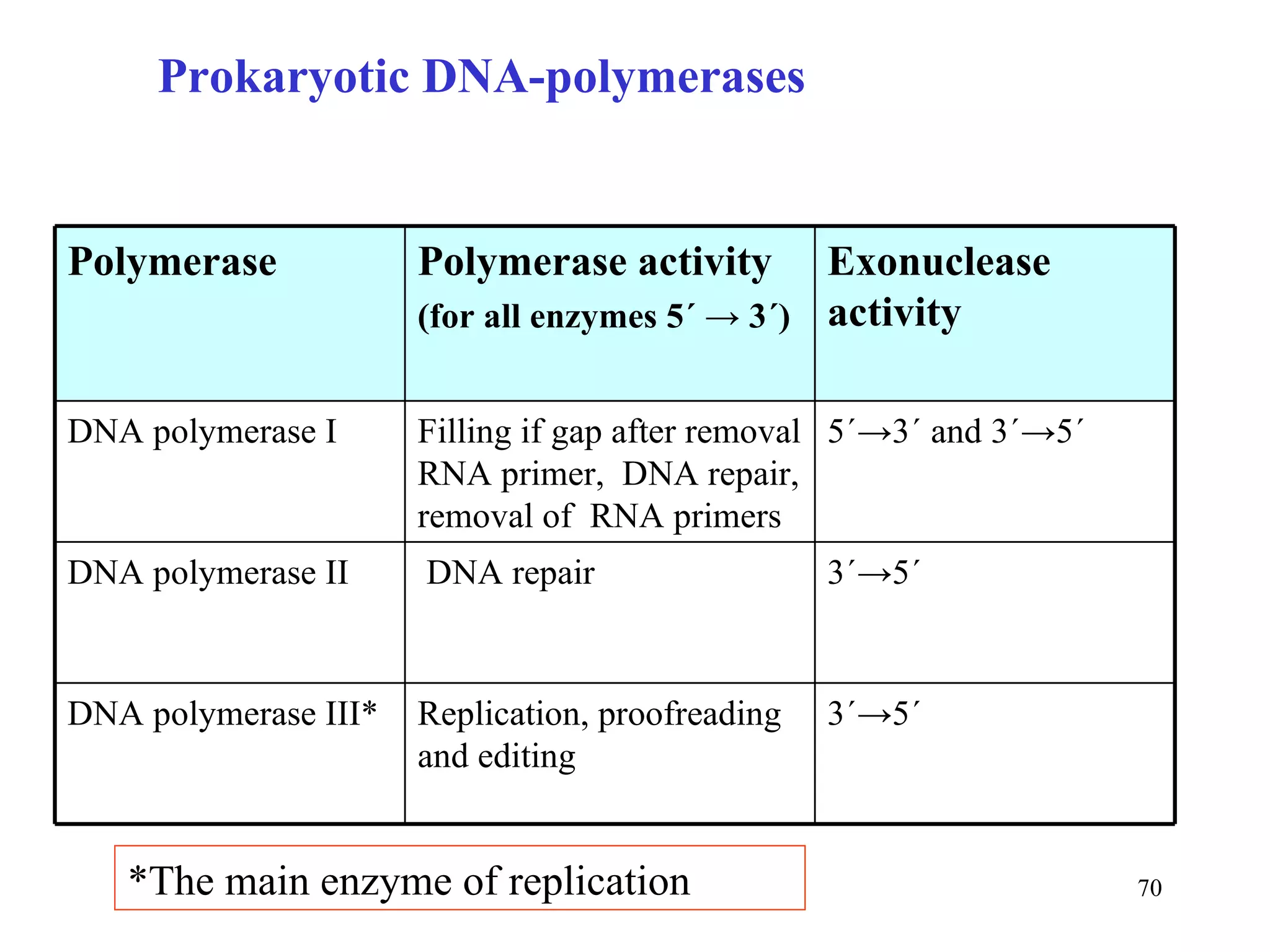 *The main enzyme of replication Prokaryotic DNA-polymerases 3´->5´ Replication, proofreading and editing DNA polymerase III* 3´->5´ DNA repair DNA polymerase II 5´ ->3´ and 3´->5´ Filling if gap after removal RNA primer,  DNA repair, removal of  RNA primers DNA polymerase I Exonuclease activity Polymerase activity (for all enzymes 5´  -> 3´) Polymerase 