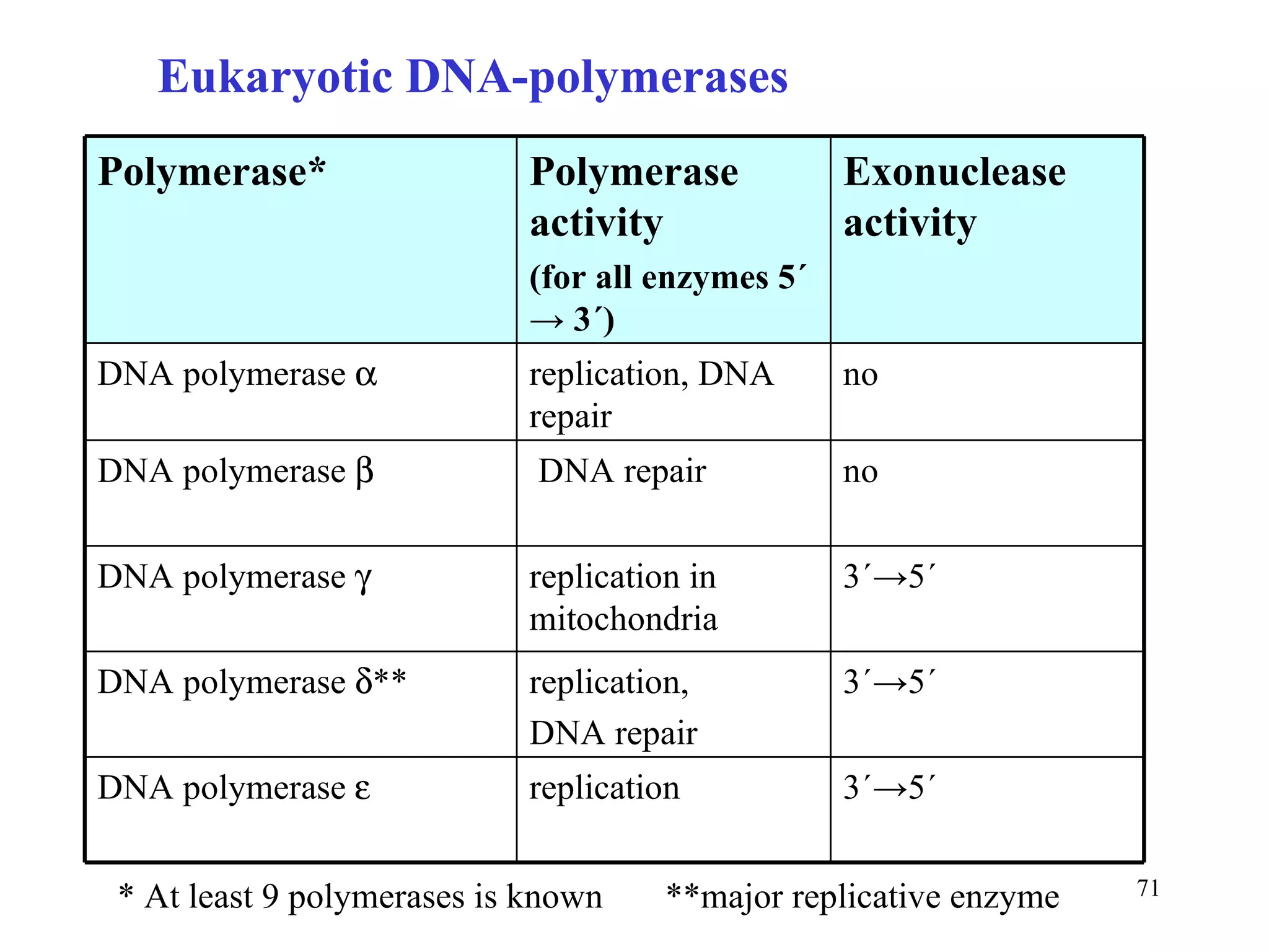 * At least 9 polymerases is known  **major replicative enzyme  Eukaryotic DNA-polymerases 3´->5´ replication DNA polymerase   3´->5´ replication, DNA repair DNA polymerase   ** 3´->5´ replication in mitochondria DNA polymerase   no DNA repair DNA polymerase   no replication, DNA repair DNA polymerase   Exonuclease activity Polymerase activity (for all enzymes 5´  -> 3´) Polymerase* 