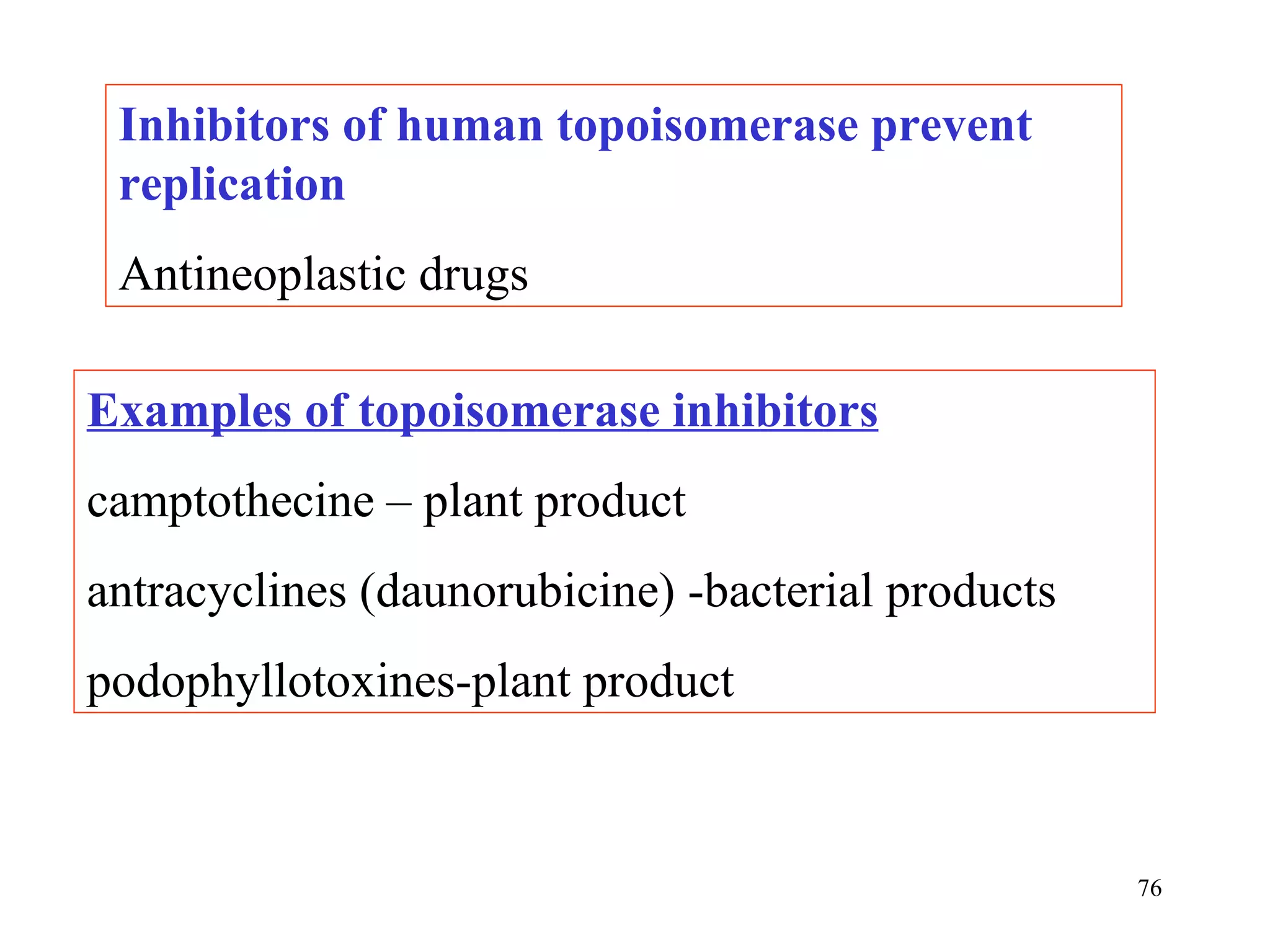 Inhibitors of human topoisomerase prevent replication Antineoplastic drugs Examples of topoisomerase inhibitors camptothecine – plant product antracyclines (daunorubicine) -bacterial products podophyllotoxines-plant product 