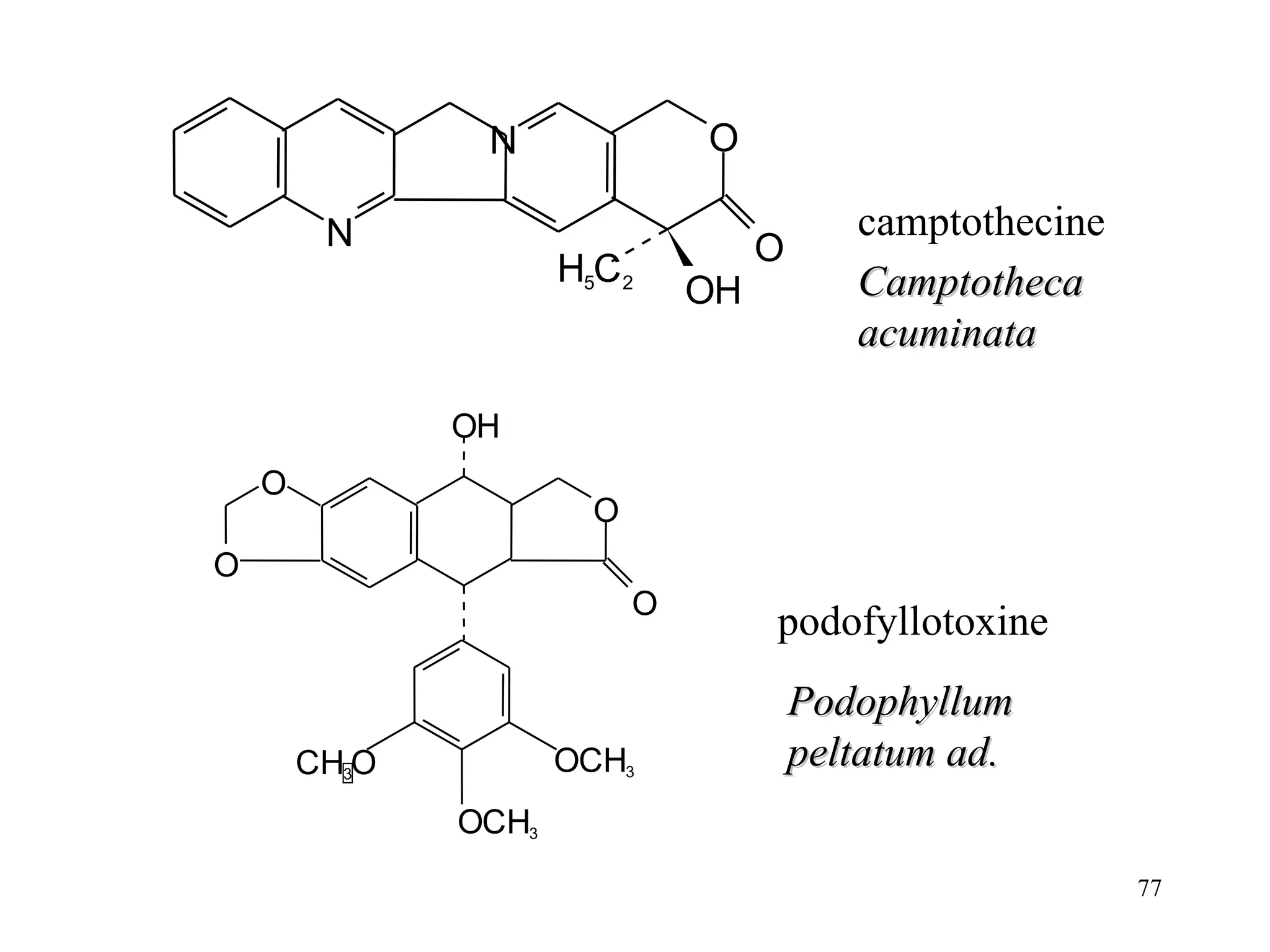 podofyllotoxine camptothecine Camptotheca acuminata Podophyllum peltatum ad. N N O O O H H 5 C 2 O H O O C H 3 O O C H 3 O C H 3 O O 