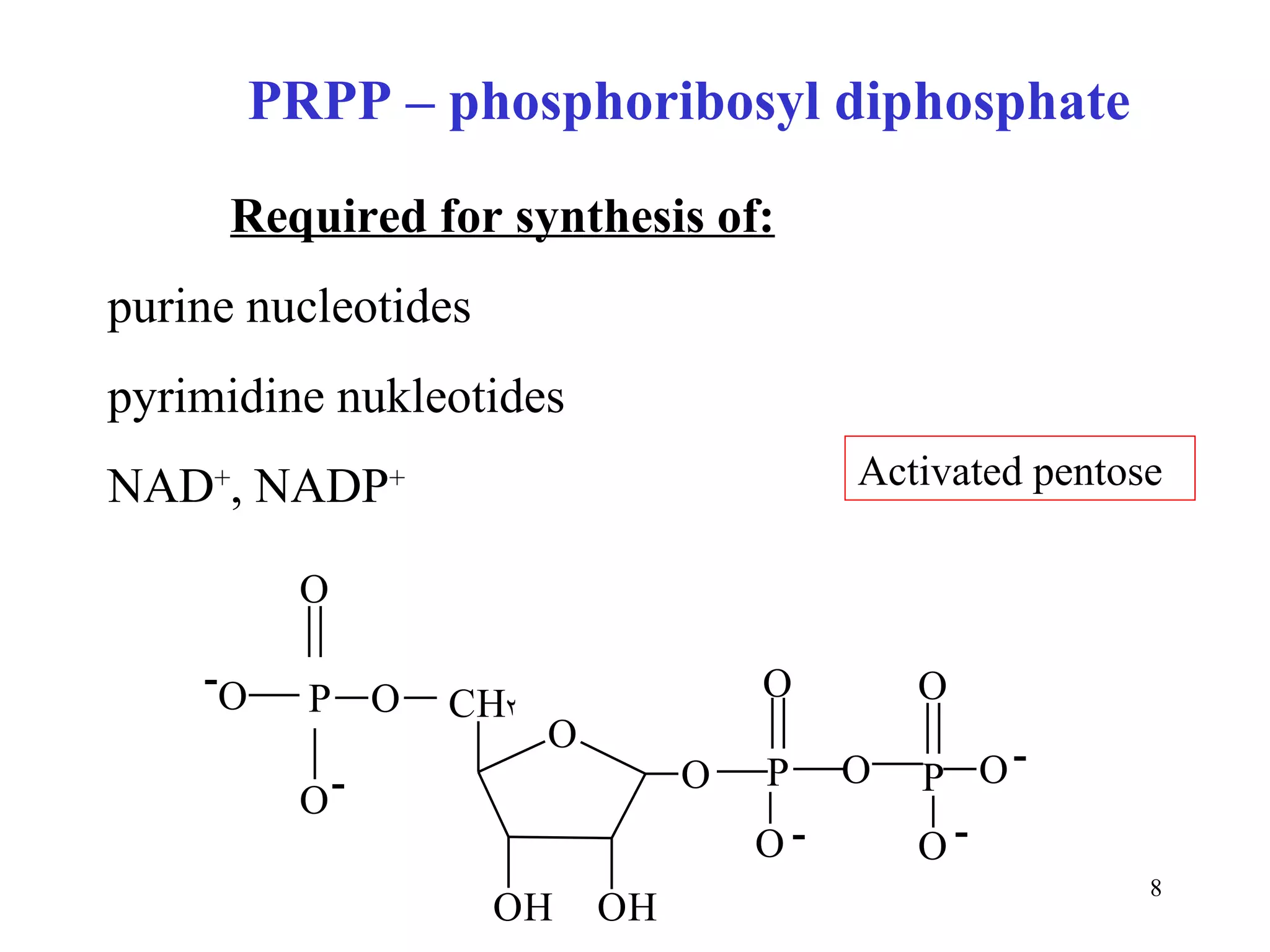 Required for synthesis of: purine nucleotides pyrimidine nukleotides NAD + , NADP + PRPP – phosphoribosyl diphosphate Activated pentose 