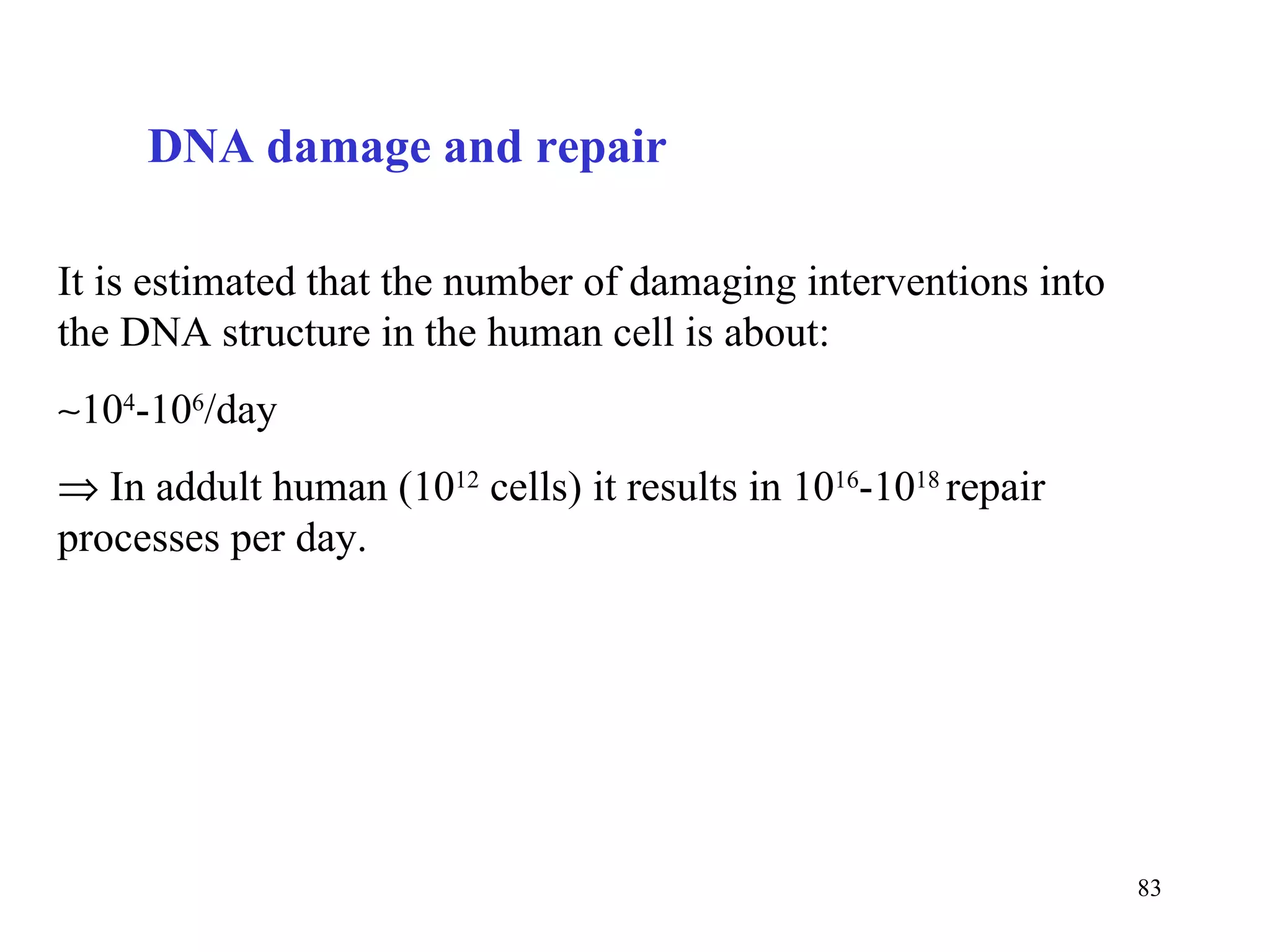 It is estimated that the number of damaging interventions into the DNA structure in the human cell is about:  10 4 -10 6 /day    In addult human (10 12  cells) it results in 10 16 -10 18  repair processes per day. DNA damage and repair 