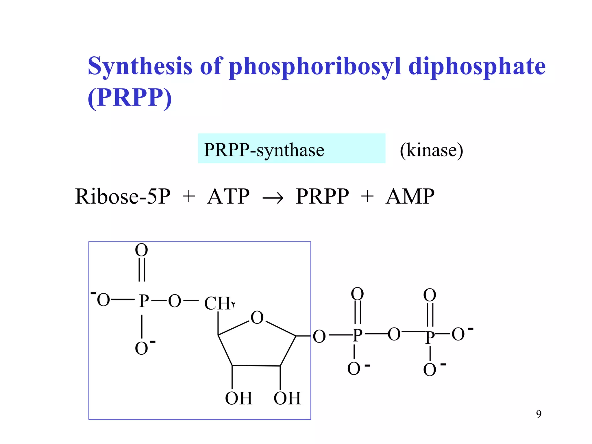 Ribose-5P  +  ATP     PRPP  +  AMP PRPP-synthase Synthesis of phosphoribosyl diphosphate (PRPP) (kinase) 