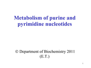 Metabolism of purine and pyrimidine nucleotides    Department of Biochemistry 2011 (E.T.)  