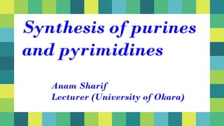 Synthesis of purines
and pyrimidines
Anam Sharif
Lecturer (University of Okara)
 