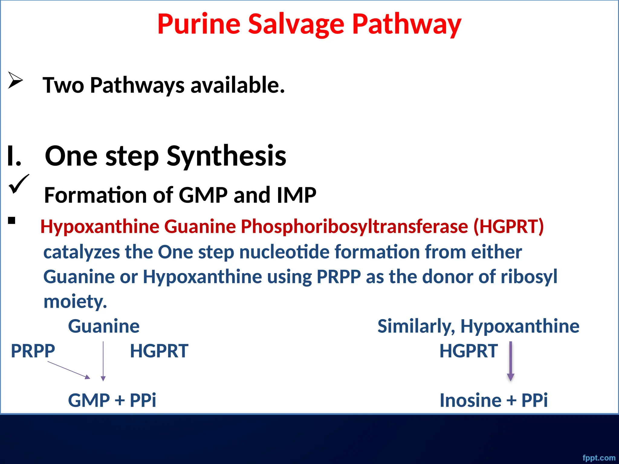 Purine Salvage Pathway
 Two Pathways available.
I. One step Synthesis
 Formation of GMP and IMP
 Hypoxanthine Guanine Phosphoribosyltransferase (HGPRT)
catalyzes the One step nucleotide formation from either
Guanine or Hypoxanthine using PRPP as the donor of ribosyl
moiety.
Guanine Similarly, Hypoxanthine
PRPP HGPRT HGPRT
GMP + PPi Inosine + PPi
 