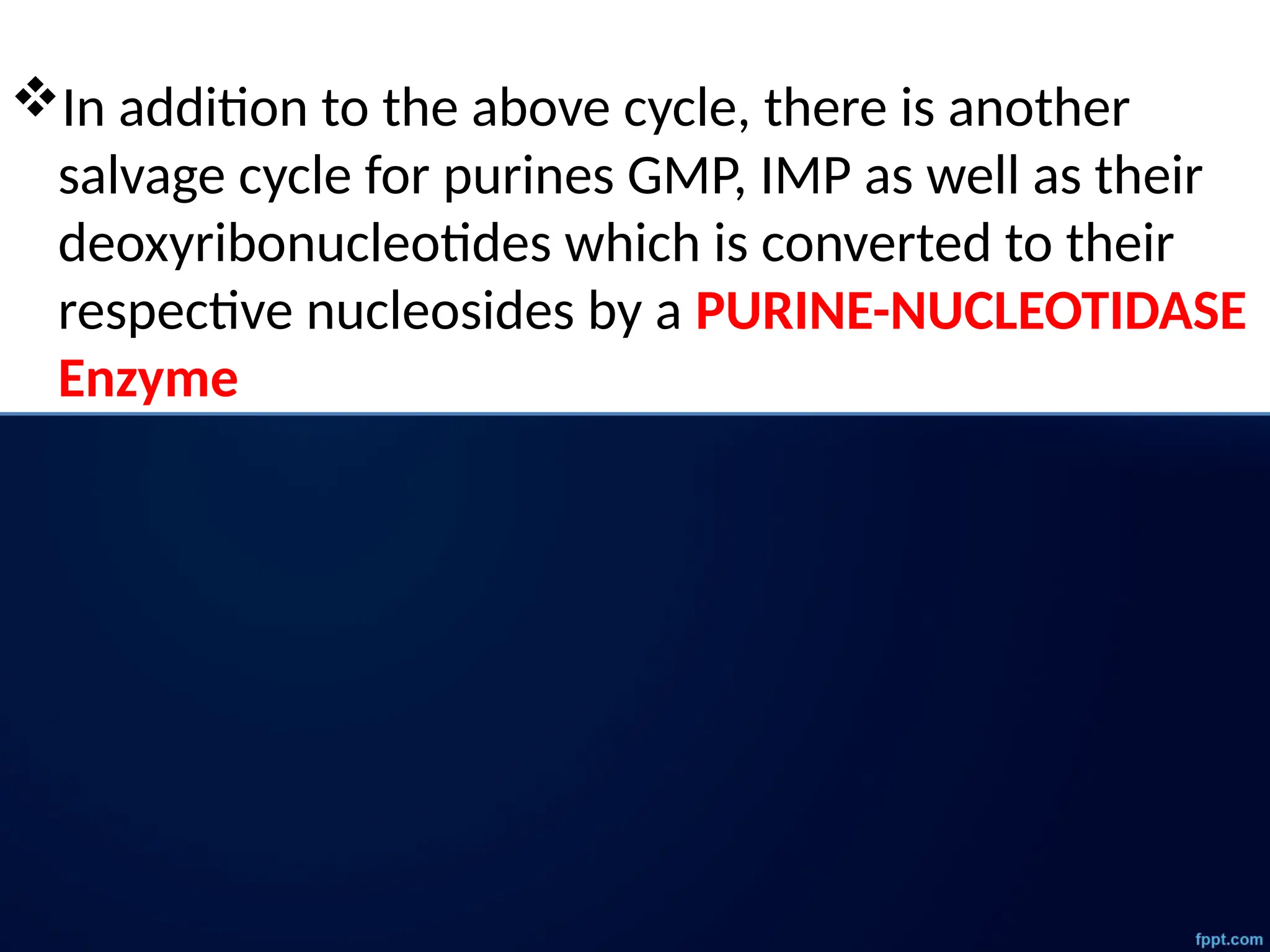 In addition to the above cycle, there is another
salvage cycle for purines GMP, IMP as well as their
deoxyribonucleotides which is converted to their
respective nucleosides by a PURINE-NUCLEOTIDASE
Enzyme
 