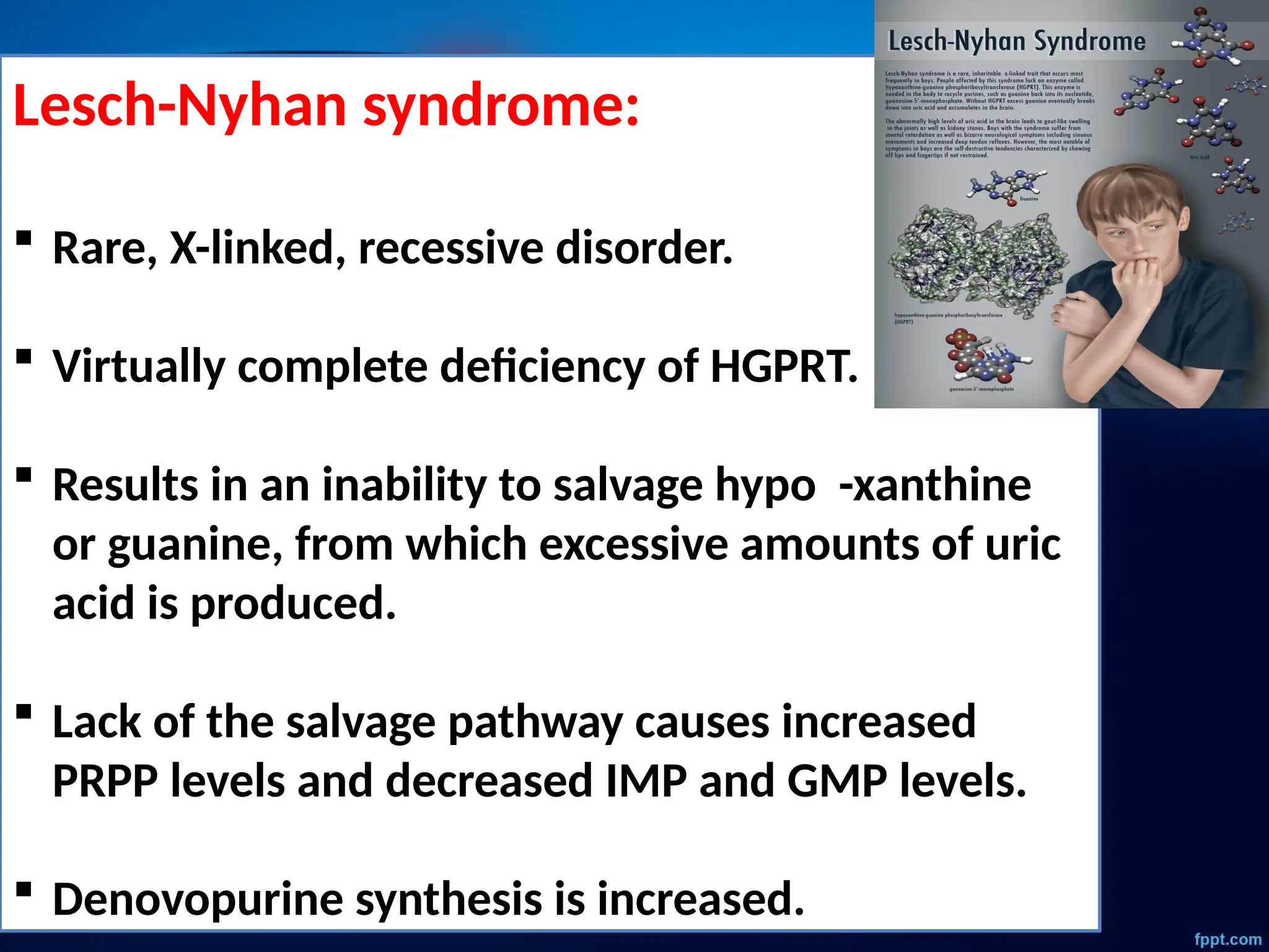 Lesch-Nyhan syndrome:
 Rare, X-linked, recessive disorder.
 Virtually complete deficiency of HGPRT.
 Results in an inability to salvage hypo -xanthine
or guanine, from which excessive amounts of uric
acid is produced.
 Lack of the salvage pathway causes increased
PRPP levels and decreased IMP and GMP levels.
 Denovopurine synthesis is increased.
 