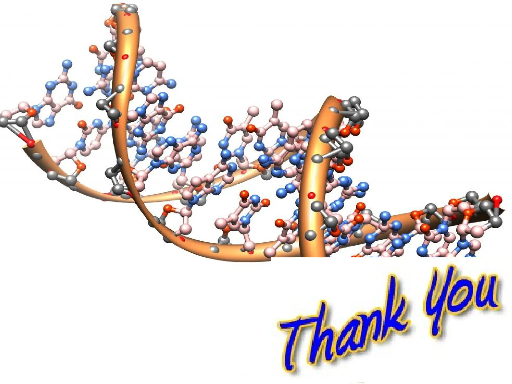 • Your Text here
• Lorem ipsumconsectetuer
 