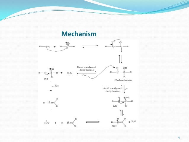 SCHIFF BASE MECHANISM PDF DOWNLOAD SCHIFF BASE MECHANISM PDF DOWNLOAD