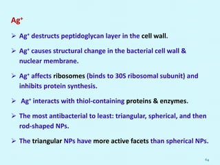 Ag+
 Ag+ destructs peptidoglycan layer in the cell wall.
 Ag+ causes structural change in the bacterial cell wall &
nuclear membrane.
 Ag+ affects ribosomes (binds to 30S ribosomal subunit) and
inhibits protein synthesis.
 Ag+ interacts with thiol-containing proteins & enzymes.
 The most antibacterial to least: triangular, spherical, and then
rod-shaped NPs.
 The triangular NPs have more active facets than spherical NPs.
64
 