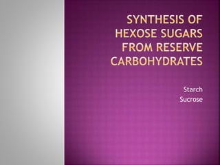 Synthesis of Sucrose and Starch synthesis | PPTX