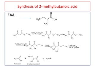 Synthesis of 2-methylbutanoic acid
EAA
CH3 OH
O
CH3
CH3
O
O O
CH3
NaOC 2H5/C2H5OH
CH3
O
O O
CH3
Na
CH3
O
O O
CH3
CH3
NaOC 2H5/C2H5OH
CH3
O
O O
CH3
CH3 Na
C2H5Br
CH3
O
O O
CH3
CH3
CH3
i. KOH, heat
ii. HCl/H 2O, heat
CH3
OH
O
+
CH3
CH3 OH
O
Acetic acid 2
-
methylbutanoic acid
+ C2H5OH
 