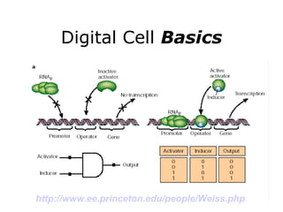 Digital Cell  Basics http://www.ee.princeton.edu/people/Weiss.php   