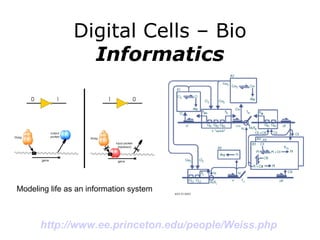 Digital Cells – Bio  Informatics http://www.ee.princeton.edu/people/Weiss.php   Modeling life as an information system 