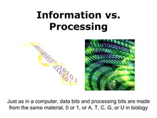 Information   vs.   Processing Just as in a computer, data bits and processing bits are made from the same material, 0 or 1, or A, T, C, G, or U in biology 