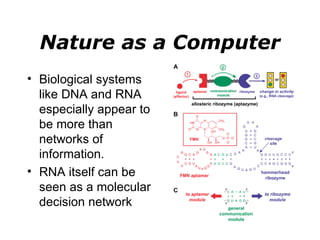 Nature as a Computer Biological systems like DNA and RNA especially appear to be more than networks of information. RNA itself can be seen as a molecular decision network 