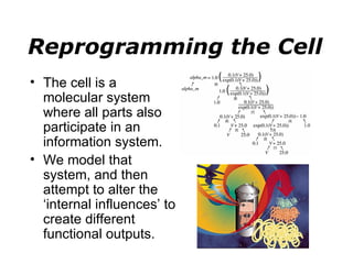 Reprogramming the Cell The cell is a molecular system where all parts also participate in an information system. We model that system, and then attempt to alter the ‘internal influences’ to create different functional outputs. 