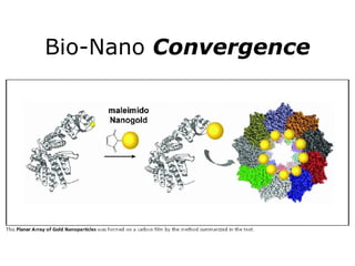 Bio-Nano  Convergence 