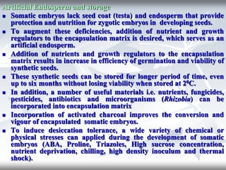 Synthetic-Seeds-.ppt