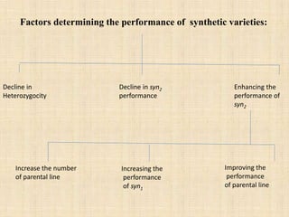Factors determining the performance of synthetic varieties:
Decline in
Heterozygocity
Decline in syn2
performance
Enhancin...