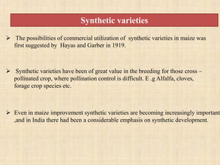 SYNTHETIC VARIETIES
 The possibilities of commercial utilization of synthetic varieties in maize was
first suggested by H...