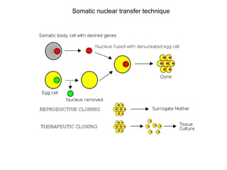 Somatic Technology Synthetic biology | PPT