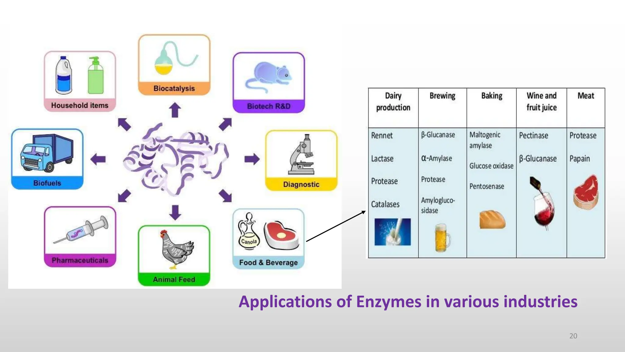 Synthetic Biology Approaches to identify Enzymes from Metagenome by ...