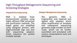 Synthetic Biology Approaches to identify Enzymes from Metagenome by ...