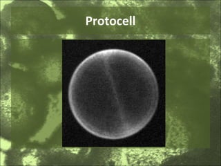 Protocell 