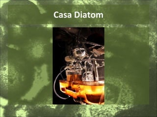 Casa Diatom 