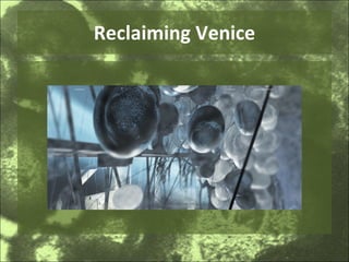Reclaiming Venice 