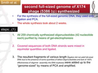 second full-sized genome of X174 
phage (5386 bp) synthesized 
• For the synthesis of the full-sized genomic DNA, they used only 
ligation and PCA. 
• The whole synthesis took about 2 weeks. 
1. All 259 chemically synthesized oligonucleotides (42 nucleoitide 
each) purified by means of gel-electrophoresis 
2. Covered sequences of both DNA strands were mixed in 
equimolar quantities and ligated. 
3. The resultant fragments of various length (ligation did not yield full-sized 
DNA due to the presence of some quantities of defect oligonucleotides and lack of 100% 
effectiveness of oligomer assembly into DNA duplexes) were added up to the 
“genome-sized” by means of PCA and amplified. 
Smith et al. 
steps:..(1) 
 