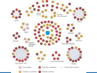 Synthetic lethal interactions in yeast | ODP