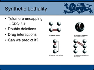 Synthetic lethal interactions in yeast | ODP