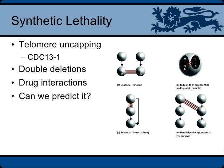 Synthetic lethal interactions in yeast