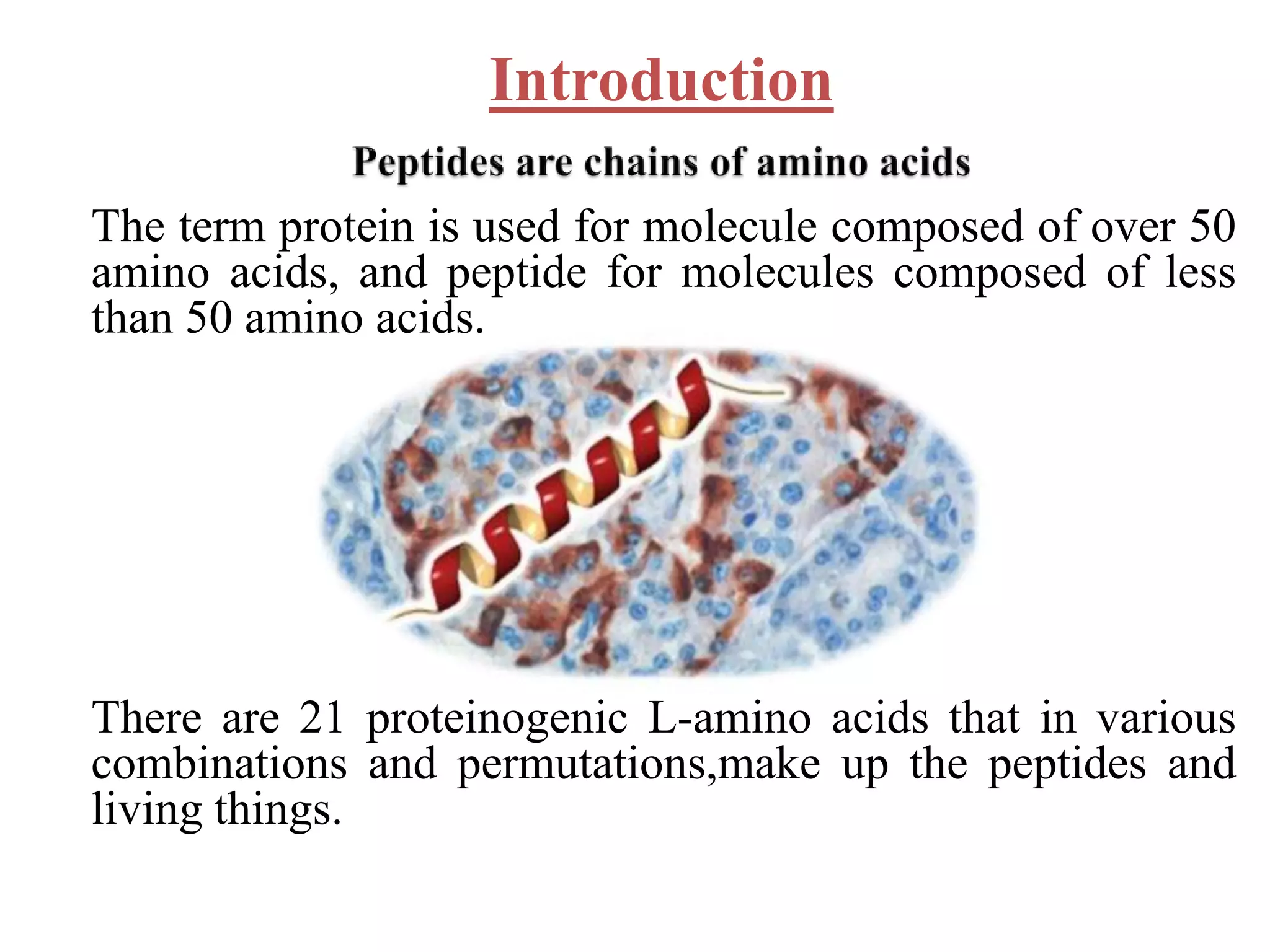 Synthetic-peptide-as-drugs-2-2048.jpg