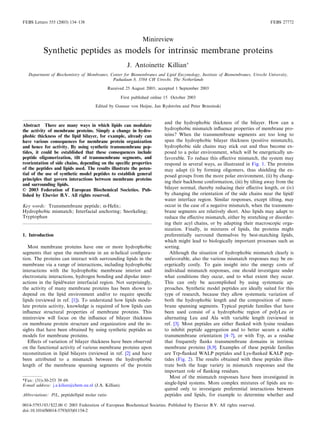 FEBS Letters 555 (2003) 134^138                                                                                                  FEBS 27772



                                                                   Minireview
           Synthetic peptides as models for intrinsic membrane proteins
                                                           J. Antoinette KillianÃ
   Department of Biochemistry of Membranes, Center for Biomembranes and Lipid Enzymology, Institute of Biomembranes, Utrecht University,
                                             Padualaan 8, 3584 CH Utrecht, The Netherlands

                                                Received 25 August 2003; accepted 1 September 2003

                                                        First published online 15 October 2003

                                       Edited by Gunnar von Heijne, Jan Rydstrom and Peter Brzezinski
                                                                              «


                                                                              and the hydrophobic thickness of the bilayer. How can a
Abstract There are many ways in which lipids can modulate
the activity of membrane proteins. Simply a change in hydro-                  hydrophobic mismatch in£uence properties of membrane pro-
phobic thickness of the lipid bilayer, for example, already can               teins? When the transmembrane segments are too long to
have various consequences for membrane protein organization                   span the hydrophobic bilayer thickness (positive mismatch),
and hence for activity. By using synthetic transmembrane pep-                 hydrophobic side chains may stick out and thus become ex-
tides, it could be established that these consequences include                posed to a polar environment, which will be energetically un-
peptide oligomerization, tilt of transmembrane segments, and                  favorable. To reduce this e¡ective mismatch, the system may
reorientation of side chains, depending on the speci¢c properties             respond in several ways, as illustrated in Fig. 1. The proteins
of the peptides and lipids used. The results illustrate the poten-            may adapt (i) by forming oligomers, thus shielding the ex-
tial of the use of synthetic model peptides to establish general              posed groups from the more polar environment, (ii) by chang-
principles that govern interactions between membrane proteins
                                                                              ing their backbone conformation, (iii) by tilting away from the
and surrounding lipids.
ß 2003 Federation of European Biochemical Societies. Pub-                     bilayer normal, thereby reducing their e¡ective length, or (iv)
lished by Elsevier B.V. All rights reserved.                                  by changing the orientation of the side chains near the lipid/
                                                                              water interface region. Similar responses, except tilting, may
Key words: Transmembrane peptide; K-Helix;                                    occur in the case of a negative mismatch, when the transmem-
Hydrophobic mismatch; Interfacial anchoring; Snorkeling;                      brane segments are relatively short. Also lipids may adapt to
Tryptophan                                                                    reduce the e¡ective mismatch, either by stretching or disorder-
                                                                              ing their acyl chains, or by adapting their macroscopic orga-
                                                                              nization. Finally, in mixtures of lipids, the proteins might
1. Introduction                                                               preferentially surround themselves by best-matching lipids,
                                                                              which might lead to biologically important processes such as
   Most membrane proteins have one or more hydrophobic                        sorting.
segments that span the membrane in an K-helical con¢gura-                        Although the situation of hydrophobic mismatch clearly is
tion. The proteins can interact with surrounding lipids in the                unfavorable, also the various mismatch responses may be en-
membrane via a range of interactions, including hydrophobic                   ergetically costly. To gain insight into the energy costs of
interactions with the hydrophobic membrane interior and                       individual mismatch responses, one should investigate under
electrostatic interactions, hydrogen bonding and dipolar inter-               what conditions they occur, and to what extent they occur.
actions in the lipid/water interfacial region. Not surprisingly,              This can only be accomplished by using systematic ap-
the activity of many membrane proteins has been shown to                      proaches. Synthetic model peptides are ideally suited for this
depend on the lipid environment and/or to require speci¢c                     type of research, because they allow systematic variation of
lipids (reviewed in ref. [1]). To understand how lipids modu-                 both the hydrophobic length and the composition of mem-
late protein activity, knowledge is required of how lipids can                brane spanning segments. Typical peptide families that have
in£uence structural properties of membrane proteins. This                     been used consist of a hydrophobic region of polyLeu or
minireview will focus on the in£uence of bilayer thickness                    alternating Leu and Ala with variable length (reviewed in
on membrane protein structure and organization and the in-                    ref. [3]. Most peptides are either £anked with lysine residues
sights that have been obtained by using synthetic peptides as                 to inhibit peptide aggregation and to better secure a stable
models for membrane proteins.                                                 transmembrane orientation [4^7], or with Trp, as a residue
   E¡ects of variation of bilayer thickness have been observed                that frequently £anks transmembrane domains in intrinsic
on the functional activity of various membrane proteins upon                  membrane proteins [8,9]. Examples of these peptide families
reconstitution in lipid bilayers (reviewed in ref. [2] and have               are Trp-£anked WALP peptides and Lys-£anked KALP pep-
been attributed to a mismatch between the hydrophobic                         tides (Fig. 2). The results obtained with these peptides illus-
length of the membrane spanning segments of the protein                       trate both the huge variety in mismatch responses and the
                                                                              important role of £anking residues.
                                                                                 Most of the mismatch responses have been investigated in
*Fax: (31)-30-253 39 69.
E-mail address: j.a.kilian@chem.uu.nl (J.A. Killian).
                                                                              single-lipid systems. More complex mixtures of lipids are re-
                                                                              quired only to investigate preferential interactions between
Abbreviations: P/L, peptide/lipid molar ratio                                 peptides and lipids, for example to determine whether and

0014-5793 / 03 / $22.00 ß 2003 Federation of European Biochemical Societies. Published by Elsevier B.V. All rights reserved.
doi:10.1016/S0014-5793(03)01154-2
 