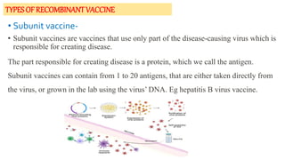 TYPES OF RECOMBINANT VACCINE
• Subunit vaccine-
• Subunit vaccines are vaccines that use only part of the disease-causing virus which is
responsible for creating disease.
The part responsible for creating disease is a protein, which we call the antigen.
Subunit vaccines can contain from 1 to 20 antigens, that are either taken directly from
the virus, or grown in the lab using the virus’ DNA. Eg hepatitis B virus vaccine.
 
