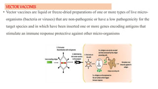 VECTOR VACCINES
• Vector vaccines are liquid or freeze-dried preparations of one or more types of live micro-
organisms (bacteria or viruses) that are non-pathogenic or have a low pathogenicity for the
target species and in which have been inserted one or more genes encoding antigens that
stimulate an immune response protective against other micro-organisms
 