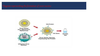 Diagram representing the formation of vecor vaccine
 